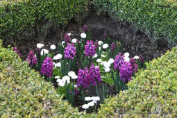 2929jpg.jpg-Otwarcie wystawy „Smoczy Ogród. Bronisław Chromy na Wawelu”