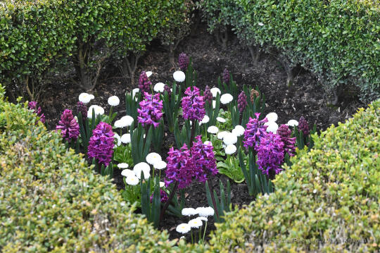 2929jpg.jpg-Otwarcie wystawy „Smoczy Ogród. Bronisław Chromy na Wawelu”