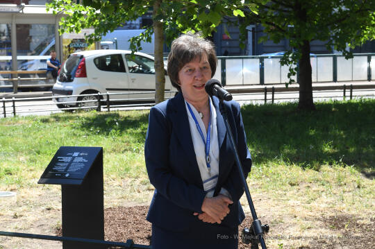 055jpg.jpg-Spotkanie przy Żywym Pomniku Pamięci – Drzewie Tadeusza Pankiewicza