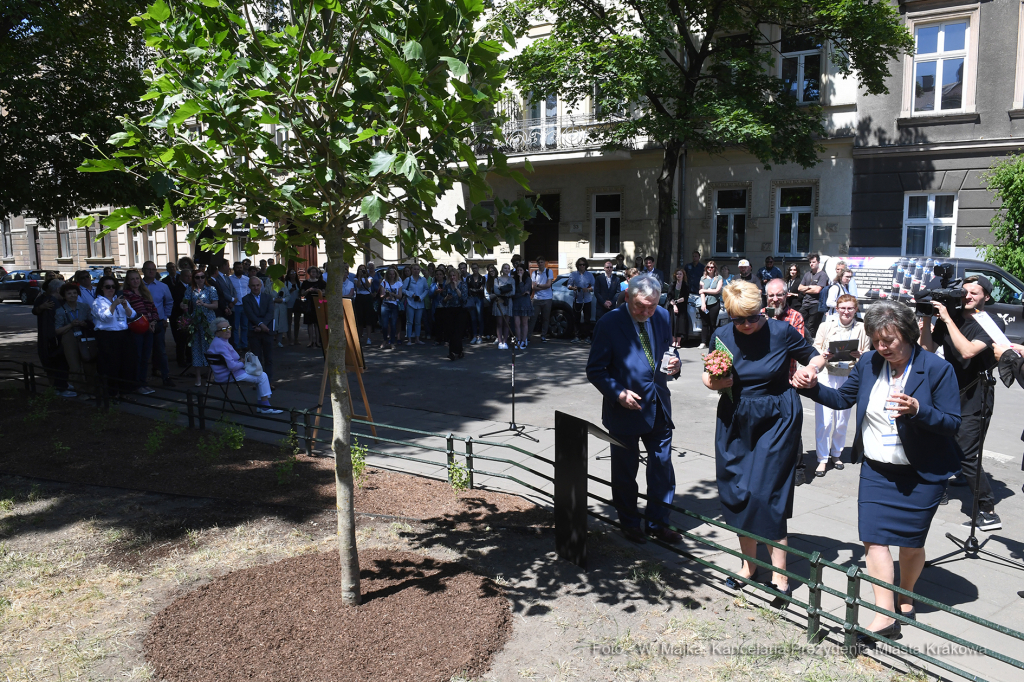 1111jpg.jpg-Spotkanie przy Żywym Pomniku Pamięci – Drzewie Tadeusza Pankiewicza  Autor: W. Majka