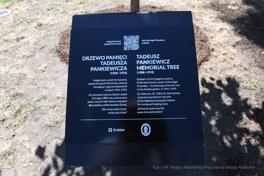 011jpg.jpg  Autor: W. Majka