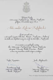 011jpg.jpg-brązowe Cracoviae Merenti