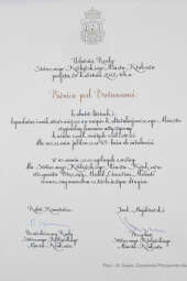 033jpg.jpg-brązowe Cracoviae Merenti