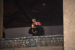 1212jpg.jpg-brązowe Cracoviae Merenti