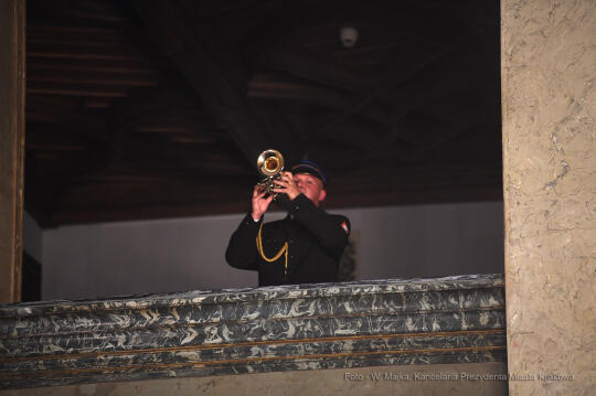 1212jpg.jpg-brązowe Cracoviae Merenti