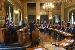 2929jpg.jpg-brązowe Cracoviae Merenti