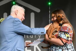 1212jpg.jpg-Uroczystość przyznania Stypendiów Twórczych Miasta Krakowa