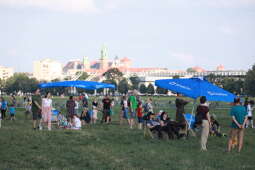 zdjęcie 14.08.2022, 18 02 00.jpg-Urodziny smoka – wielki piknik na Błoniach