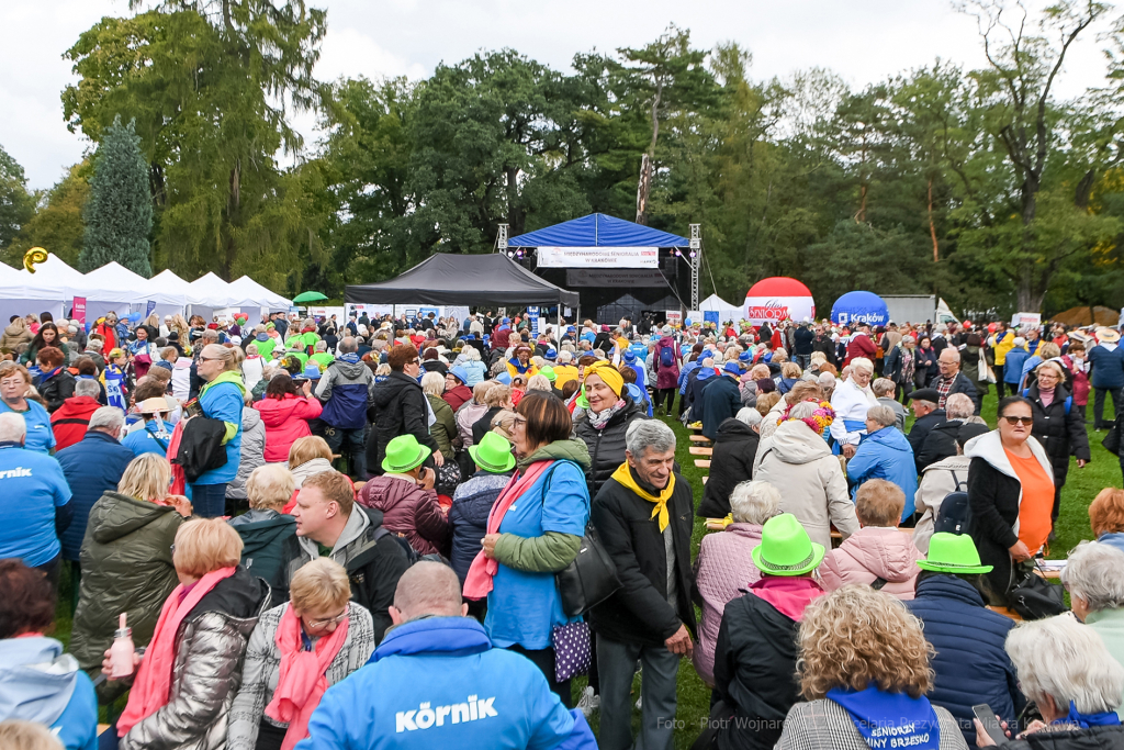 senioralia, seniorzy, Kulig, park, Jordana, spotkanie, międzynarodowe, IX, Walkowicz, sanatorium, m  Autor: P. Wojnarowski