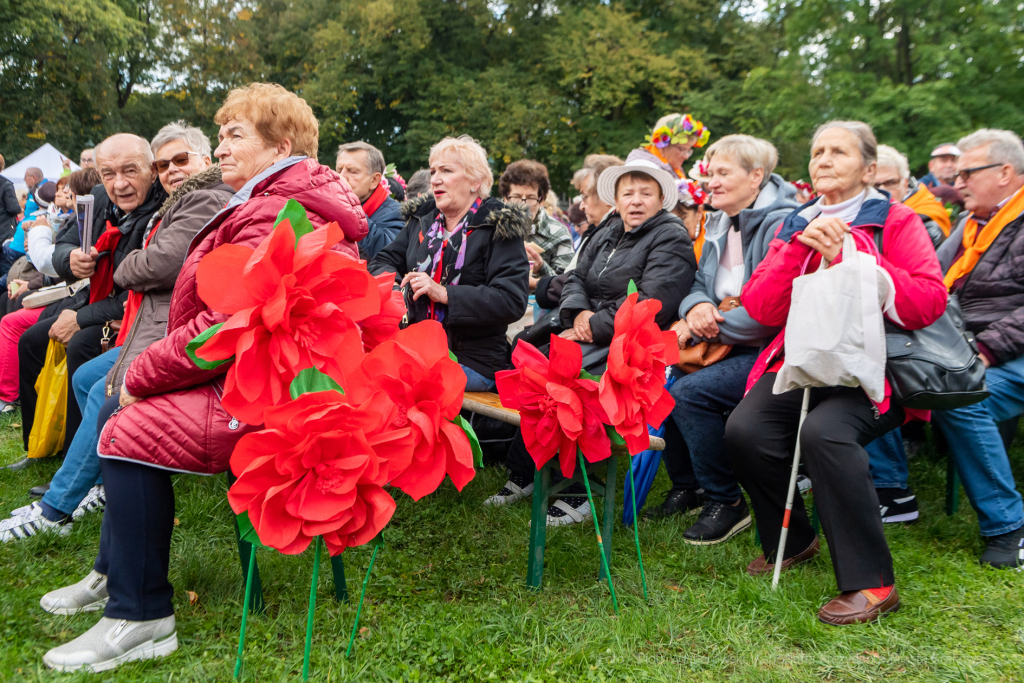 senioralia, seniorzy, Kulig, park, Jordana, spotkanie, międzynarodowe, IX, Walkowicz, sanatorium, m  Autor: P. Wojnarowski
