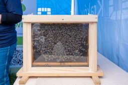 Tauron, Arena, Garden, impreza, policja, mpo, straż miejska, zabawa, atrakcje, dzieci, mpk