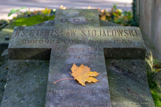 Bielsko-Biała, Dom Polski, Stojałowski, ksiądz, Rakowicki, Piaskowski, Rusiniak, grób, Stanisła