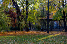 wopi6856.jpg-jesień, Kraków, Planty, Wojnarowski, krakowskie, 2022, liście, jesienne, drzewa