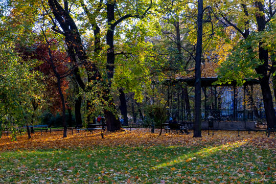 wopi6856.jpg-jesień, Kraków, Planty, Wojnarowski, krakowskie, 2022, liście, jesienne, drzewa