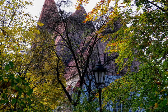 wopi6866.jpg-jesień, Kraków, Planty, Wojnarowski, krakowskie, 2022, liście, jesienne, drzewa