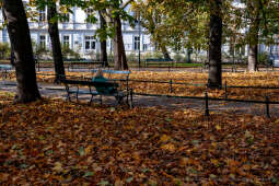 wopi7162.jpg-jesień, Kraków, Planty, Wojnarowski, krakowskie, 2022, liście, jesienne, drzewa