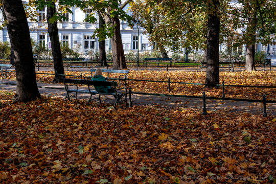 wopi7162.jpg-jesień, Kraków, Planty, Wojnarowski, krakowskie, 2022, liście, jesienne, drzewa