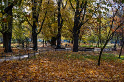 wopi7163.jpg-jesień, Kraków, Planty, Wojnarowski, krakowskie, 2022, liście, jesienne, drzewa