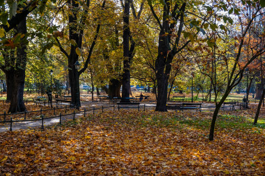 wopi7163.jpg-jesień, Kraków, Planty, Wojnarowski, krakowskie, 2022, liście, jesienne, drzewa