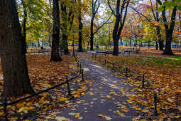 wopi7164.jpg-jesień, Kraków, Planty, Wojnarowski, krakowskie, 2022, liście, jesienne, drzewa