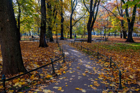 wopi7164.jpg-jesień, Kraków, Planty, Wojnarowski, krakowskie, 2022, liście, jesienne, drzewa