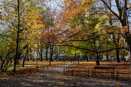 wopi7167.jpg-jesień, Kraków, Planty, Wojnarowski, krakowskie, 2022, liście, jesienne, drzewa