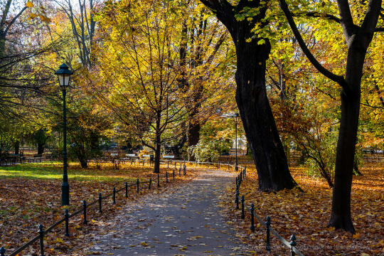 wopi7202.jpg-jesień, Kraków, Planty, Wojnarowski, krakowskie, 2022, liście, jesienne, drzewa