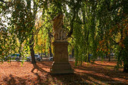 wopi7225.jpg-jesień, Kraków, Planty, Wojnarowski, krakowskie, 2022, liście, jesienne, drzewa