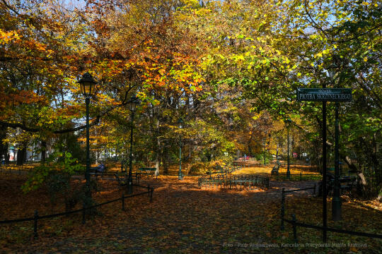 wopi7228.jpg-jesień, Kraków, Planty, Wojnarowski, krakowskie, 2022, liście, jesienne, drzewa