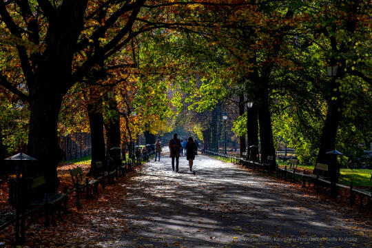 wopi7248.jpg-jesień, Kraków, Planty, Wojnarowski, krakowskie, 2022, liście, jesienne, drzewa