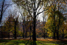 wopi7272.jpg-jesień, Kraków, Planty, Wojnarowski, krakowskie, 2022, liście, jesienne, drzewa