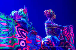 bs-listopada 06, 2022-img_3286.jpg-ICCA, Kongres, Majchrowski, Balet