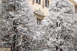 umk_5475.jpg-Zima w Krakowie