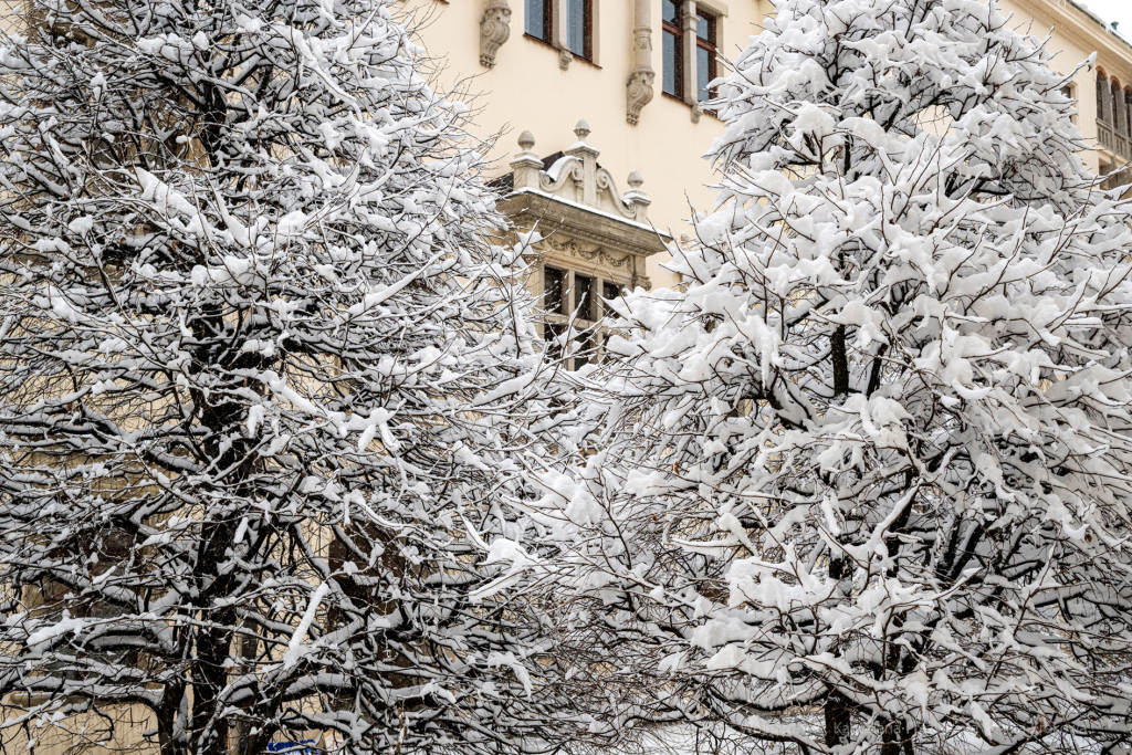 umk_5475.jpg-Zima w Krakowie  Autor: P. Wojnarowski