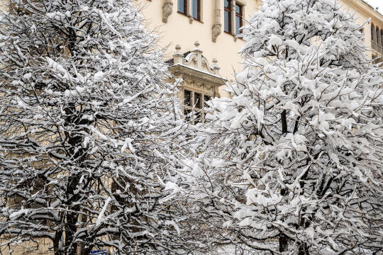 umk_5475.jpg-Zima w Krakowie