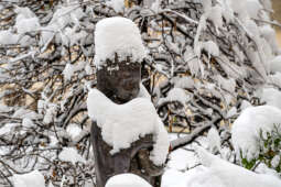 umk_5479.jpg-Zima w Krakowie