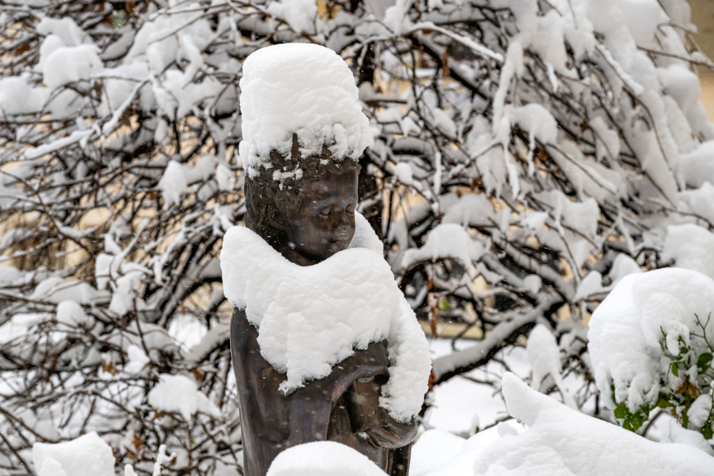 umk_5479.jpg-Zima w Krakowie  Autor: P. Wojnarowski