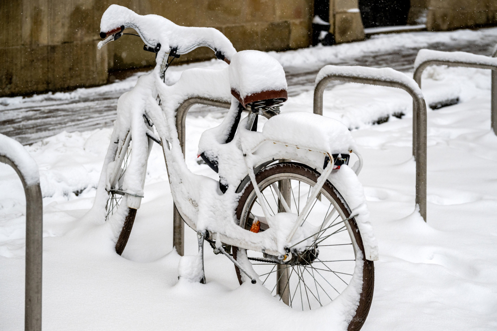 umk_5487.jpg-Zima w Krakowie  Autor: P. Wojnarowski