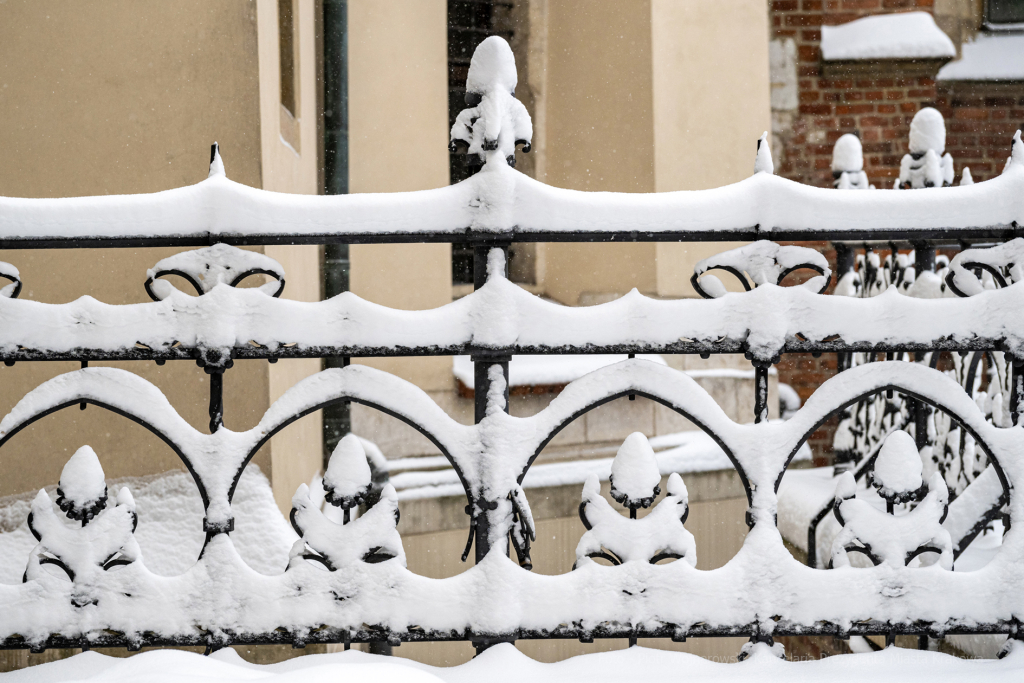 umk_5488.jpg-Zima w Krakowie  Autor: P. Wojnarowski