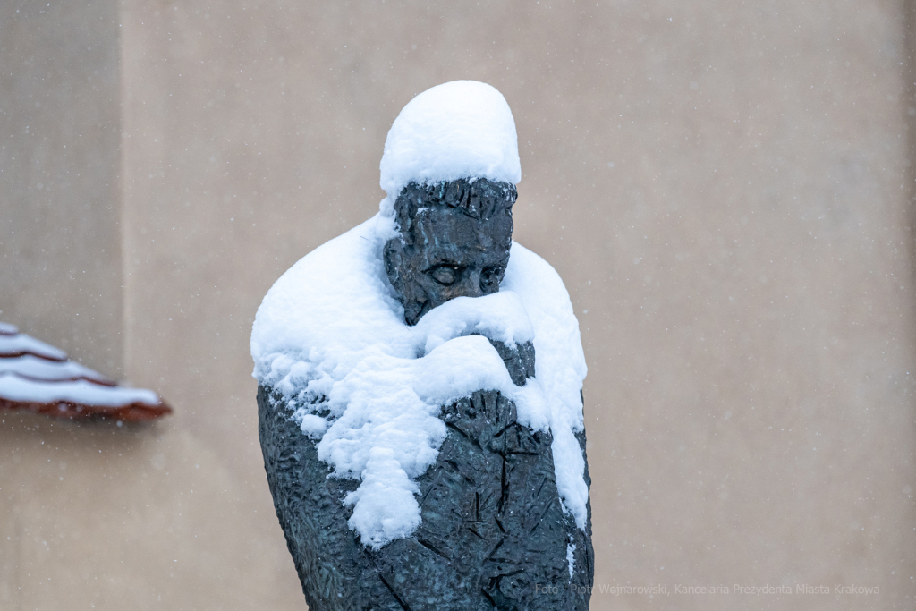 umk_5490.jpg-Zima w Krakowie  Autor: P. Wojnarowski