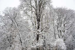 umk_5491.jpg-Zima w Krakowie