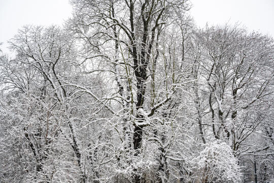 umk_5491.jpg-Zima w Krakowie