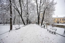 umk_5493.jpg-Zima w Krakowie