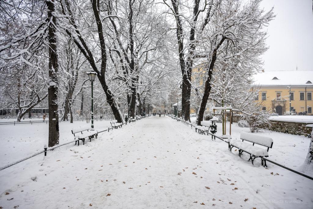 umk_5493.jpg-Zima w Krakowie  Autor: P. Wojnarowski