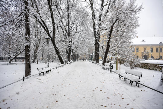 umk_5493.jpg-Zima w Krakowie