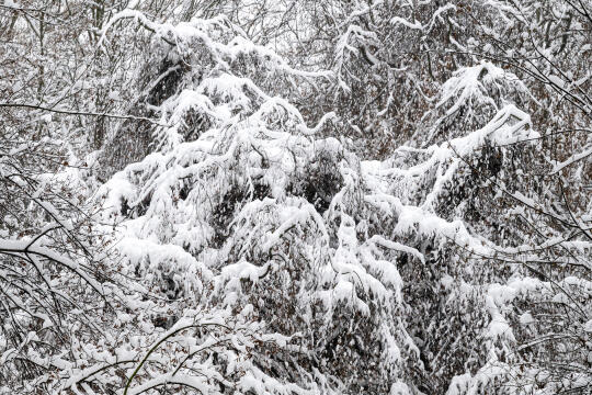 umk_5495.jpg-Zima w Krakowie