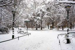 umk_5496.jpg-Zima w Krakowie