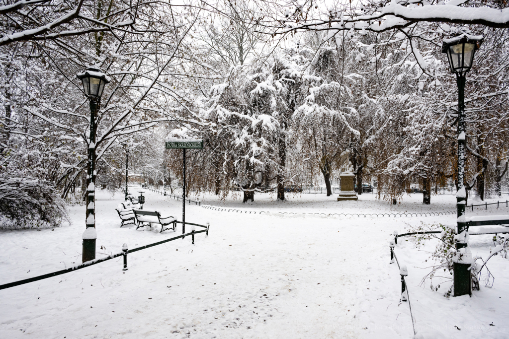 umk_5496.jpg-Zima w Krakowie  Autor: P. Wojnarowski