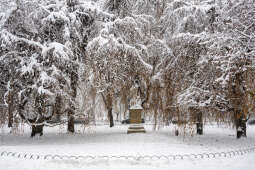 umk_5497.jpg-Zima w Krakowie