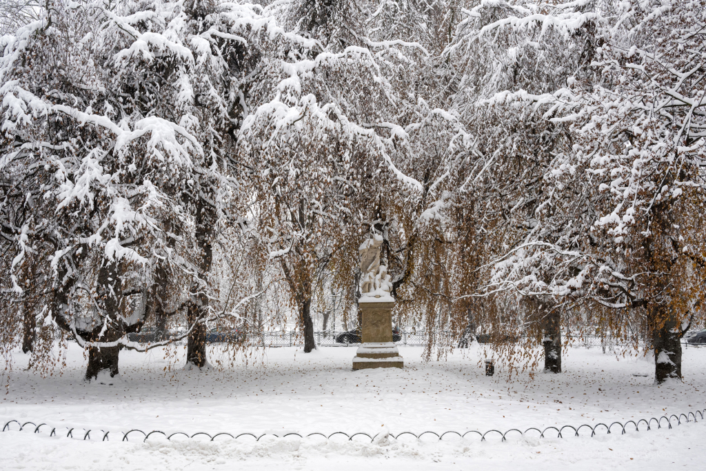 umk_5497.jpg-Zima w Krakowie  Autor: P. Wojnarowski